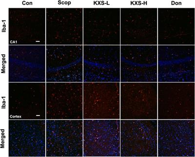 Corrigendum: Systems pharmacology approach to investigate the mechanism of Kai-Xin-San in Alzheimer’s disease